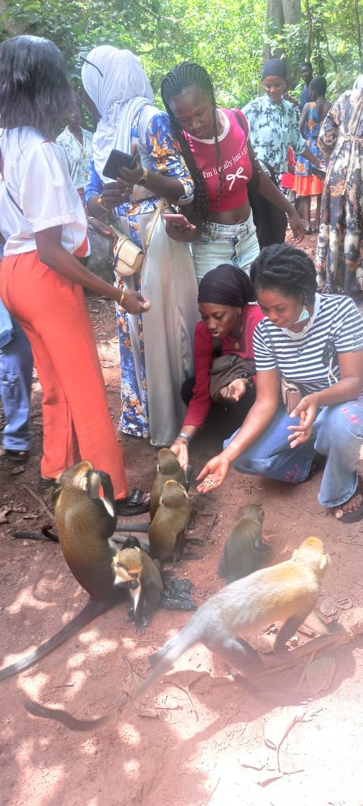 Fiema Monkey Sanctuary.