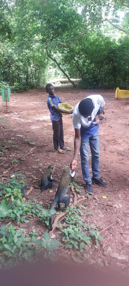 Fiema Monkey Sanctuary.